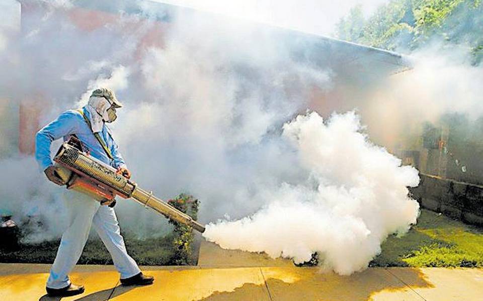 metodología recoger Boquilla Inició la fumigación de colonias contra el mosquito del dengue - El Sol de  San Luis | Noticias Locales, Policiacas, sobre México, San Luis Potosí y el  Mundo