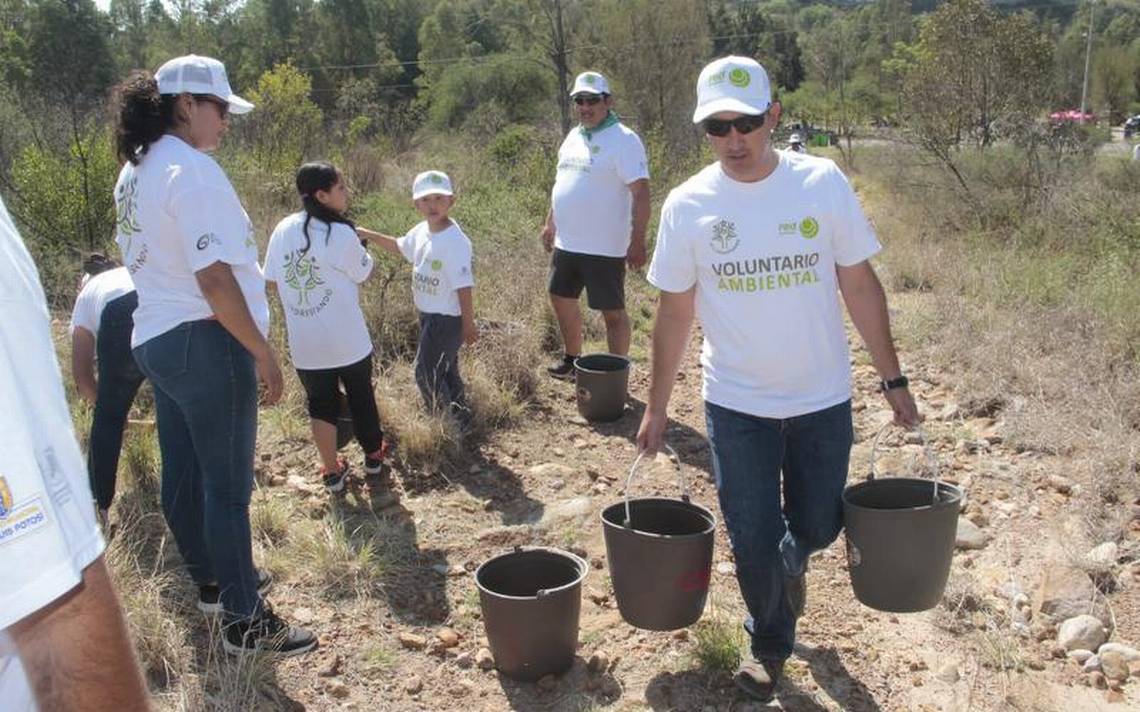 Recolectan basura y plantan árboles en camino a la presa - El Sol de San  Luis | Noticias Locales, Policiacas, sobre México, San Luis Potosí y el  Mundo