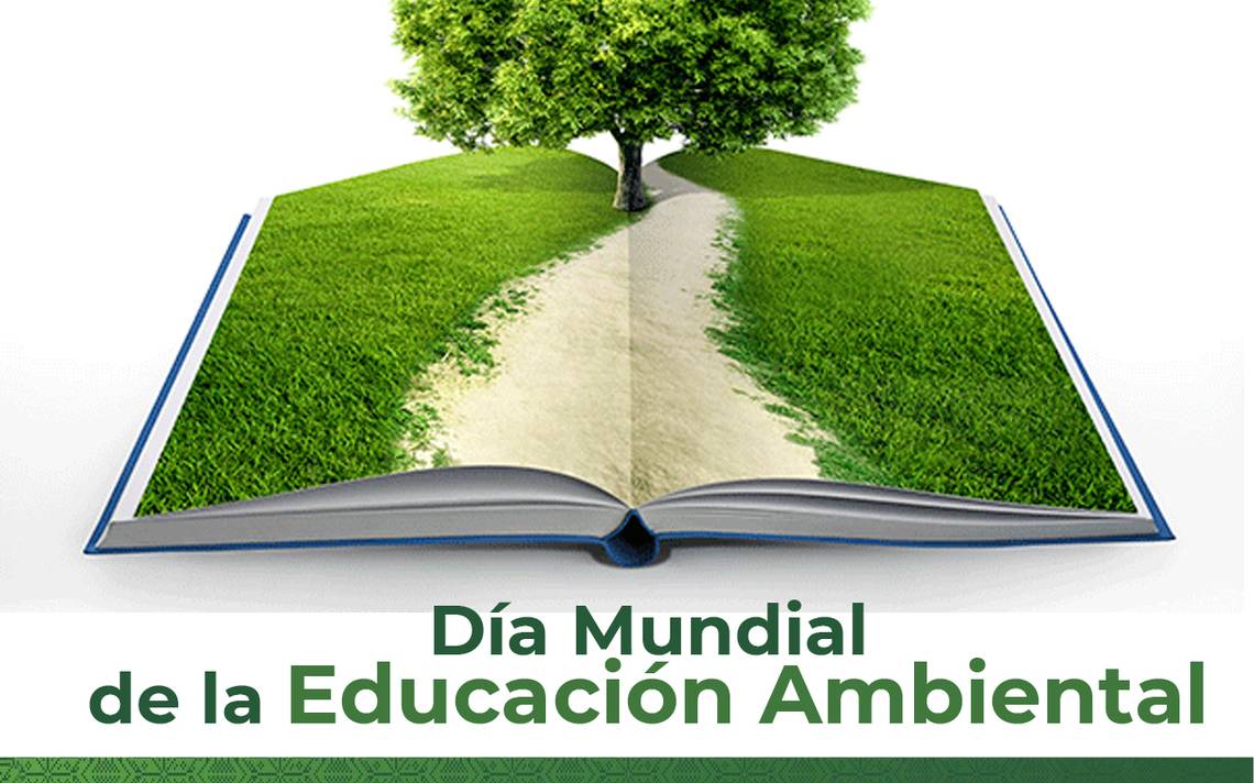 En El Día Mundial De La Educación Ambiental, Inician Programa Ecológico ...