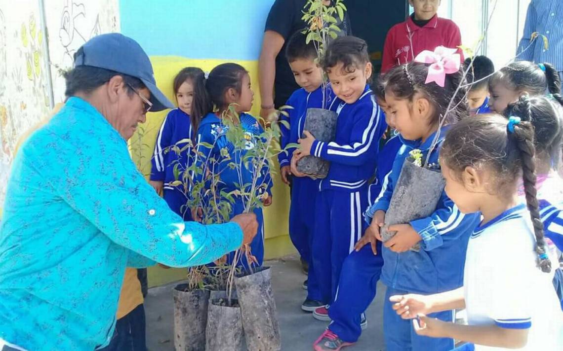 Plantarán 250 árboles En Delegación De Bocas El Sol De San Luis Noticias Locales Policiacas 4159
