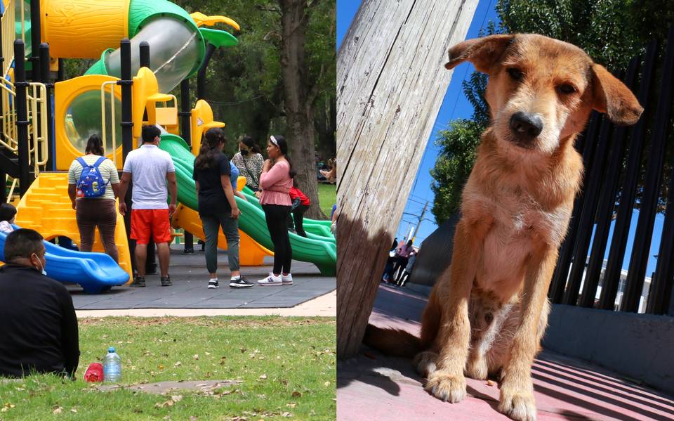 Parque Tangamanga I tendrá una zona infantil y otra para mascotas - El Sol  de San Luis | Noticias Locales, Policiacas, sobre México, San Luis Potosí y  el Mundo