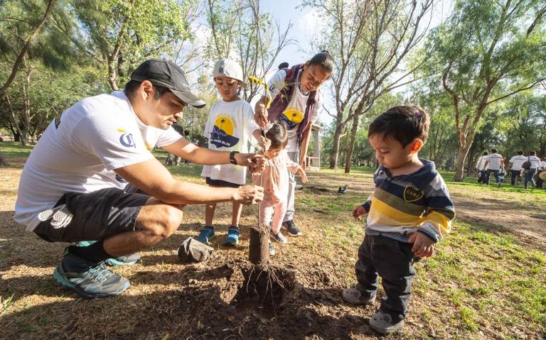 SEGAM y Grupo Modelo plantaron mil árboles en el Día Voluntarios Modelo -  El Sol de San Luis | Noticias Locales, Policiacas, sobre México, San Luis  Potosí y el Mundo