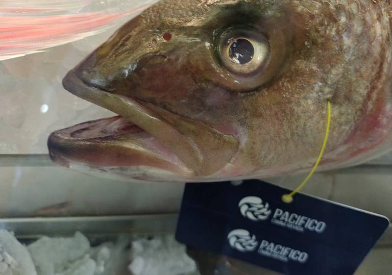 A partir del 22 de febrero, venta de pescado y marisco a bajo costo, en  Soledad - El Sol de San Luis | Noticias Locales, Policiacas, sobre México,  San Luis Potosí y el Mundo