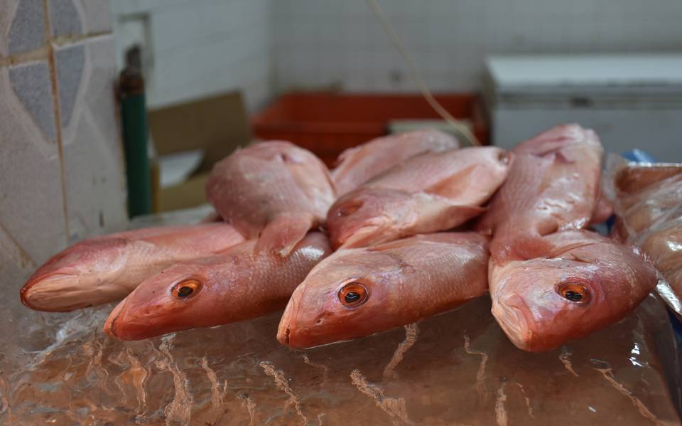 Ventas de pescados y mariscos han sido bajas en esta Cuaresma - El Sol de  San Luis | Noticias Locales, Policiacas, sobre México, San Luis Potosí y el  Mundo