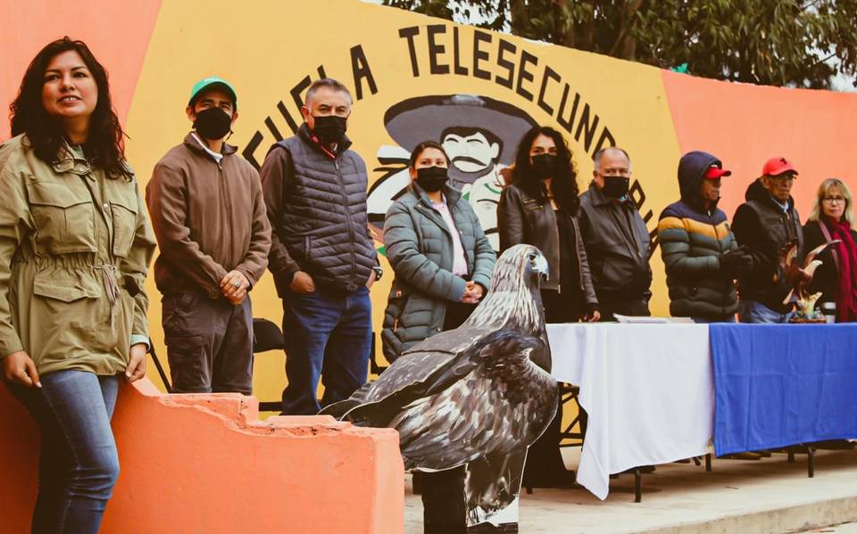 Inauguran en Villa de Reyes el Séptimo Festival del Águila Real - El Sol de  San Luis | Noticias Locales, Policiacas, sobre México, San Luis Potosí y el  Mundo
