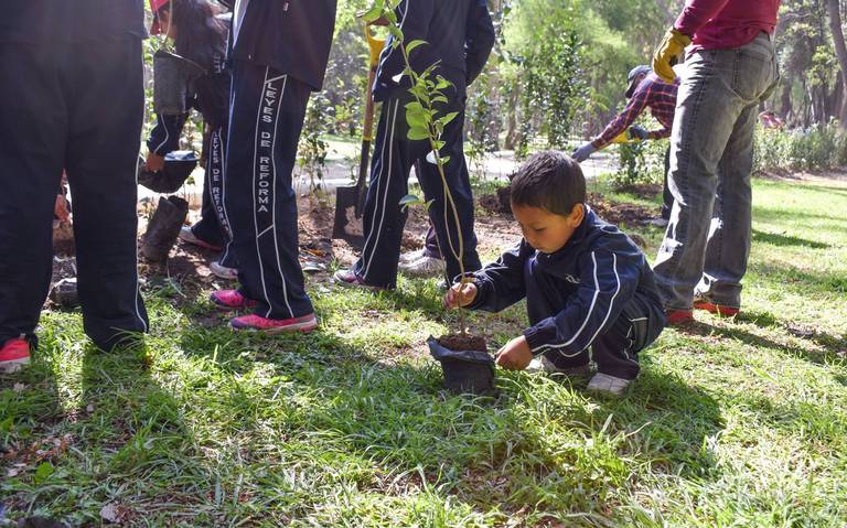 Plantan árboles como iniciativa para cuidar el medio ambiente en SLP - El  Sol de San Luis | Noticias Locales, Policiacas, sobre México, San Luis  Potosí y el Mundo