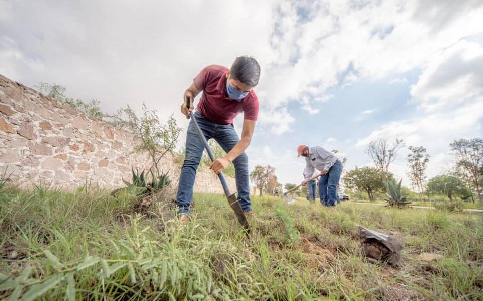 Impulsan generación de energías verdes en SLP - El Sol de San Luis