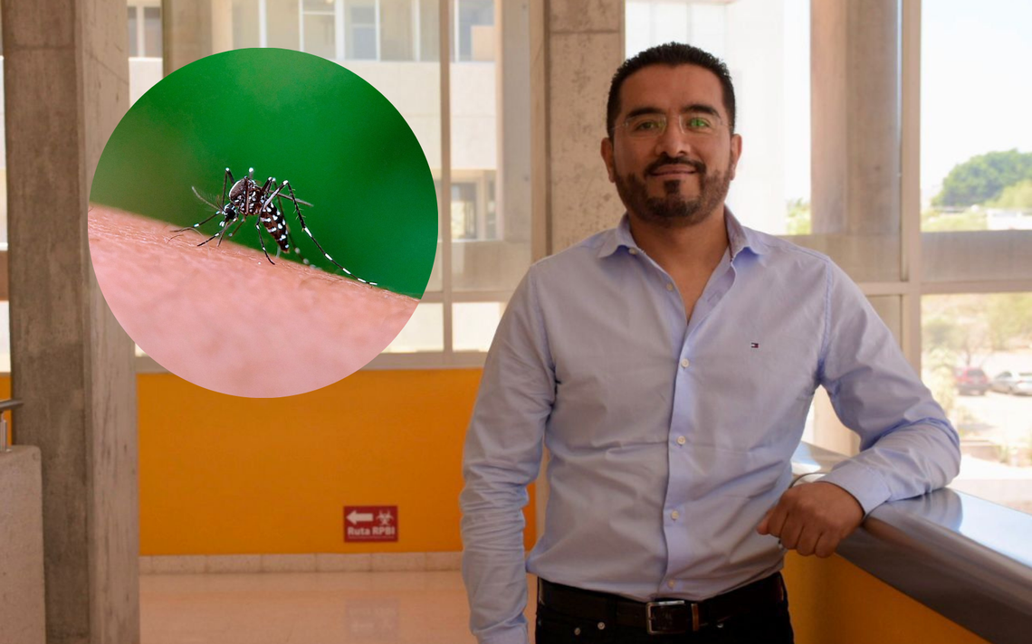 Ils travaillent sur un prototype de vaccin contre Zika à l’UASLP – El Sol de San Luis