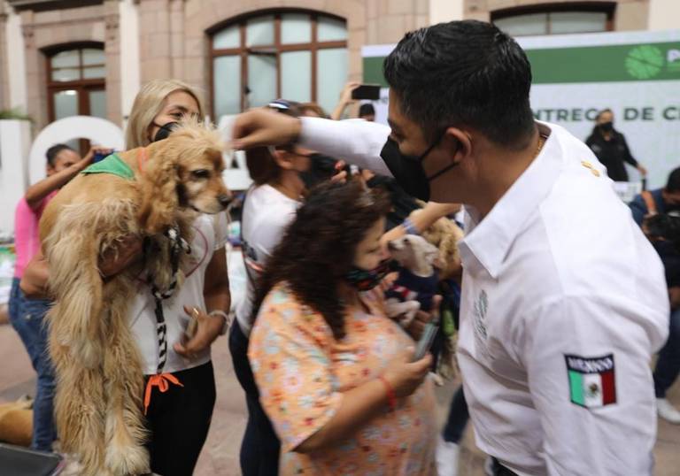 Maltrato animal es delito en San Luis Potosí: RGC - El Sol de San Luis |  Noticias Locales, Policiacas, sobre México, San Luis Potosí y el Mundo