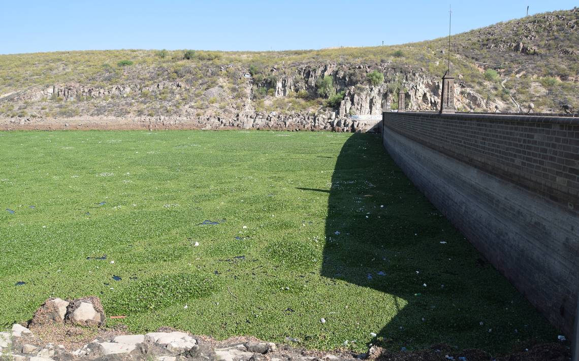 Agua de Escalerillas contamina la presa de San José - El Sol de San Luis |  Noticias Locales, Policiacas, sobre México, San Luis Potosí y el Mundo