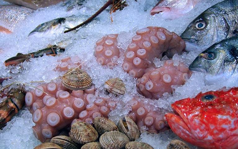 Monitorean presunta intoxicación con mariscos en Tamasopo - El Sol de San  Luis | Noticias Locales, Policiacas, sobre México, San Luis Potosí y el  Mundo